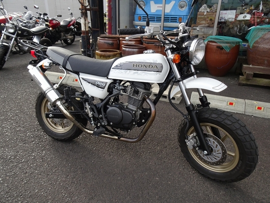 100D